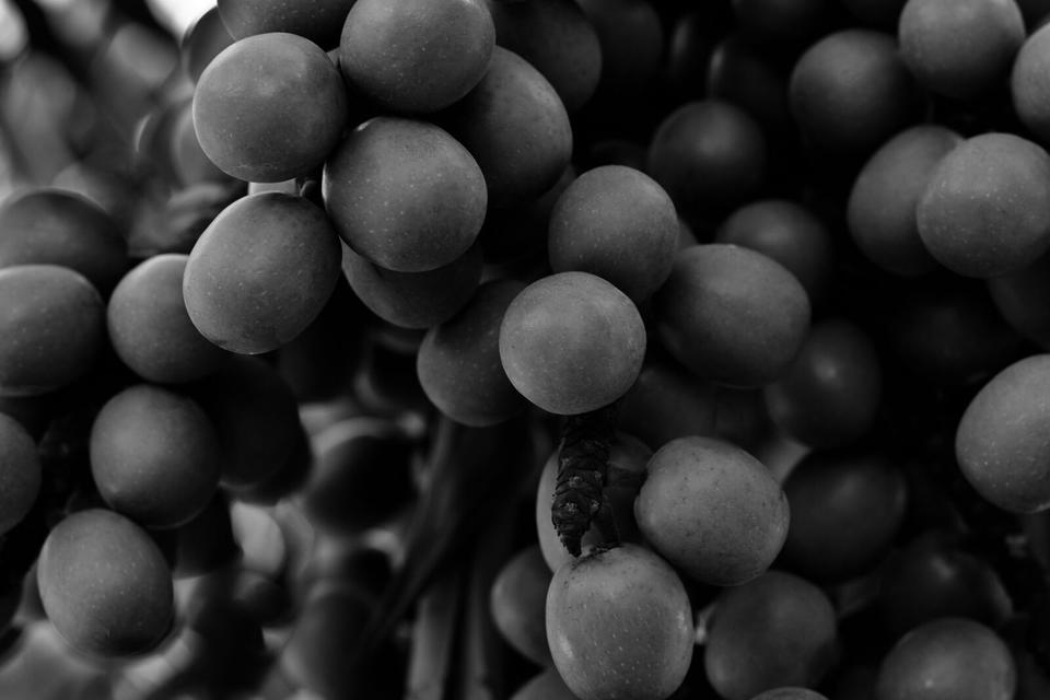 What is Stellar Restoration?